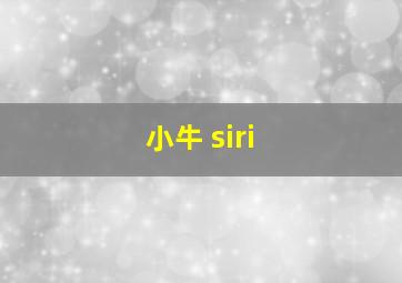 小牛 siri